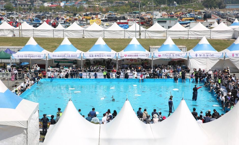 2025 서천 자연산 광어 도미 축제 2