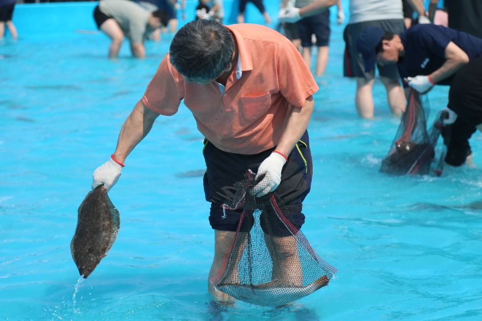 2025 서천 자연산 광어 도미 축제 3
