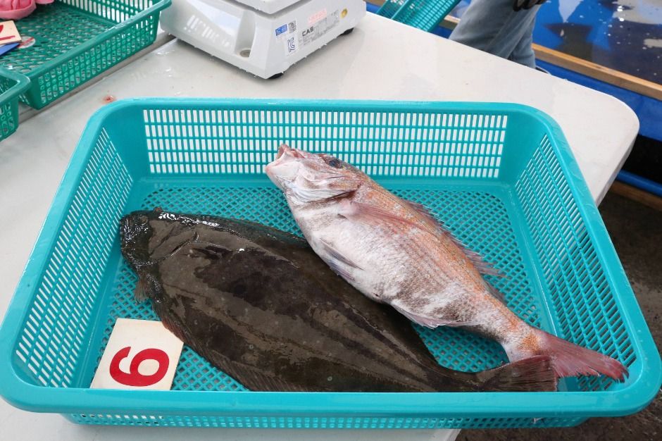 2025 서천 자연산 광어 도미 축제 8