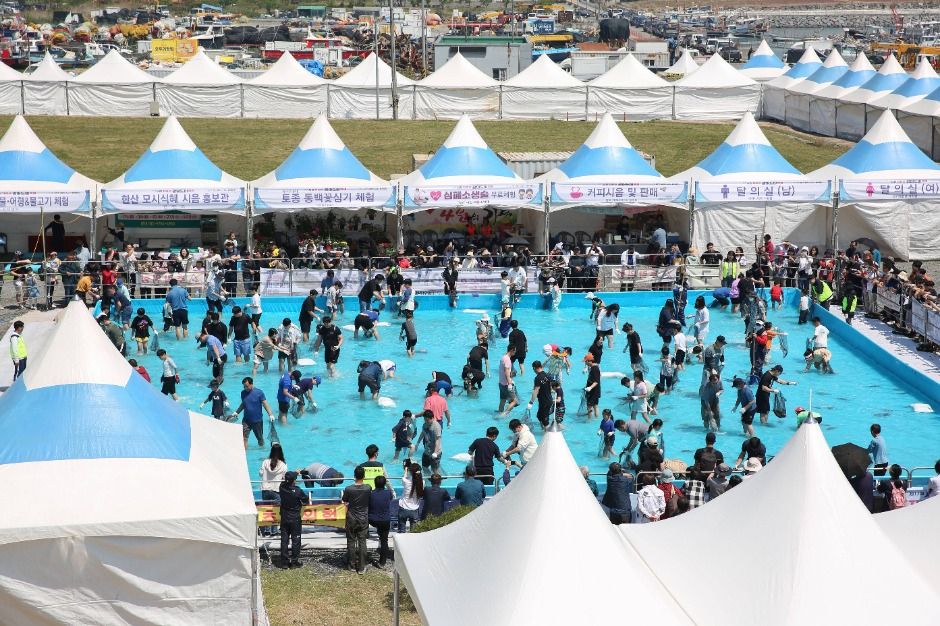 서천 자연산 광어 도미 축제 현장 1