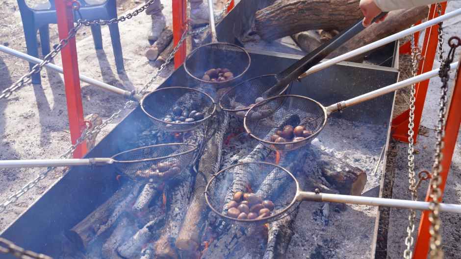 2026 태백산 눈축제 (12).JPG