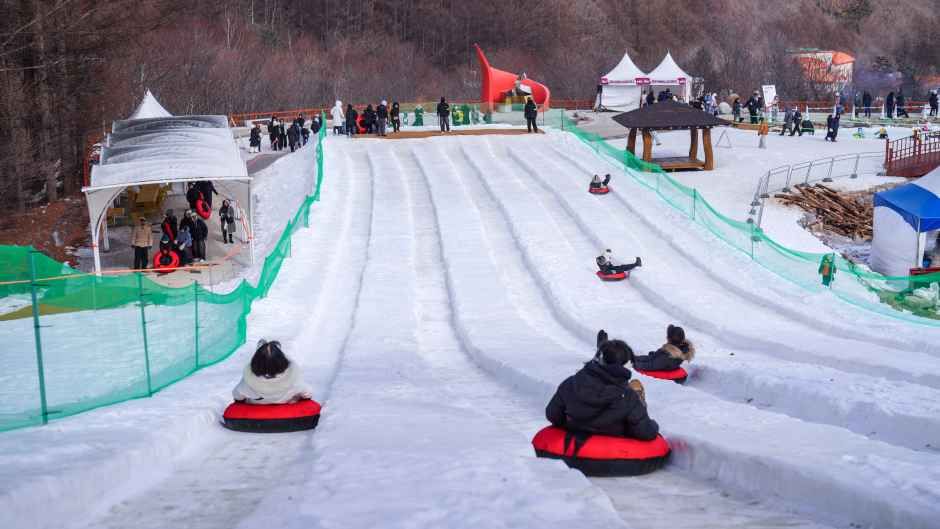 2026 태백산 눈축제 (19).jpg