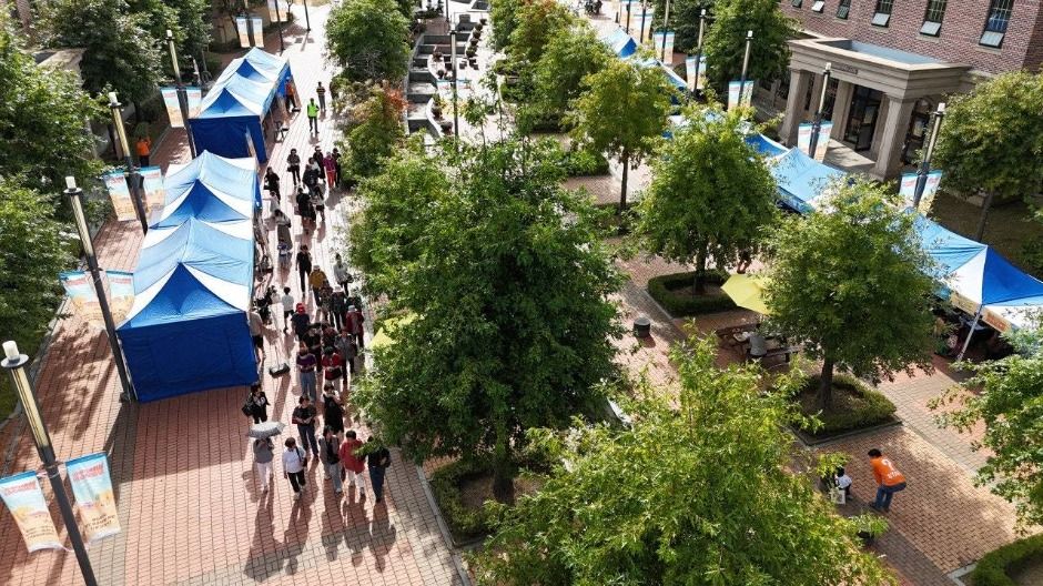 WOW 다놀자! 양평페스타 포스터 · 경기 축제
