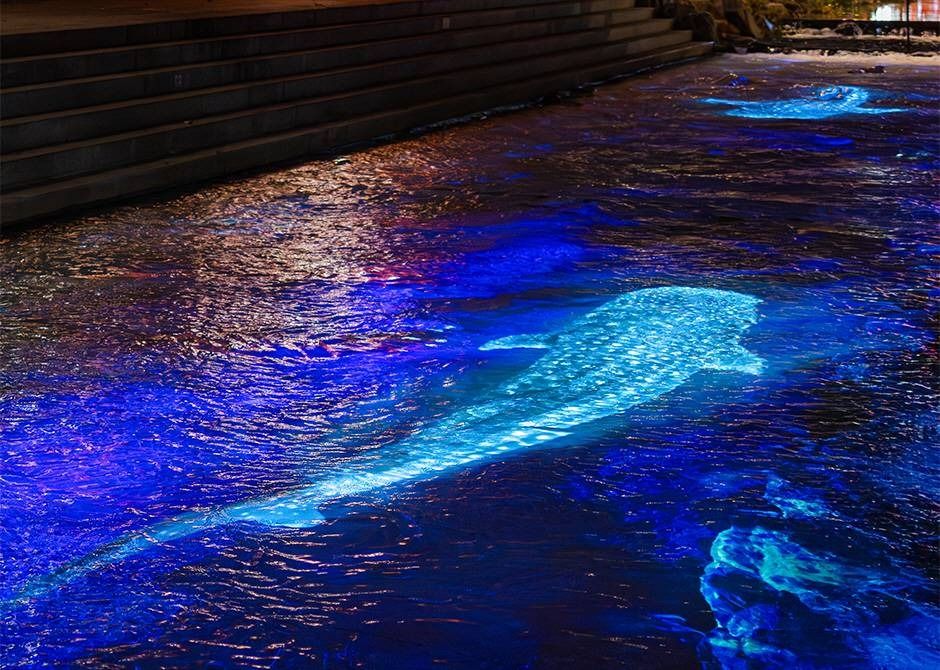 2025 서울빛초롱축제 2