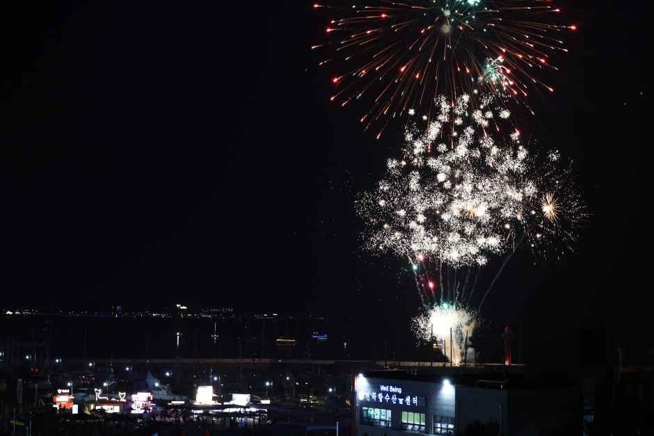 2026 화성 뱃놀이 축제 (9).jpg