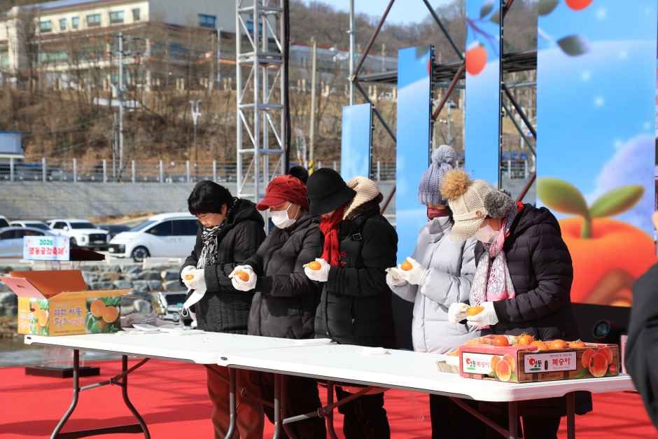 2026 영동곶감축제 (11).JPG