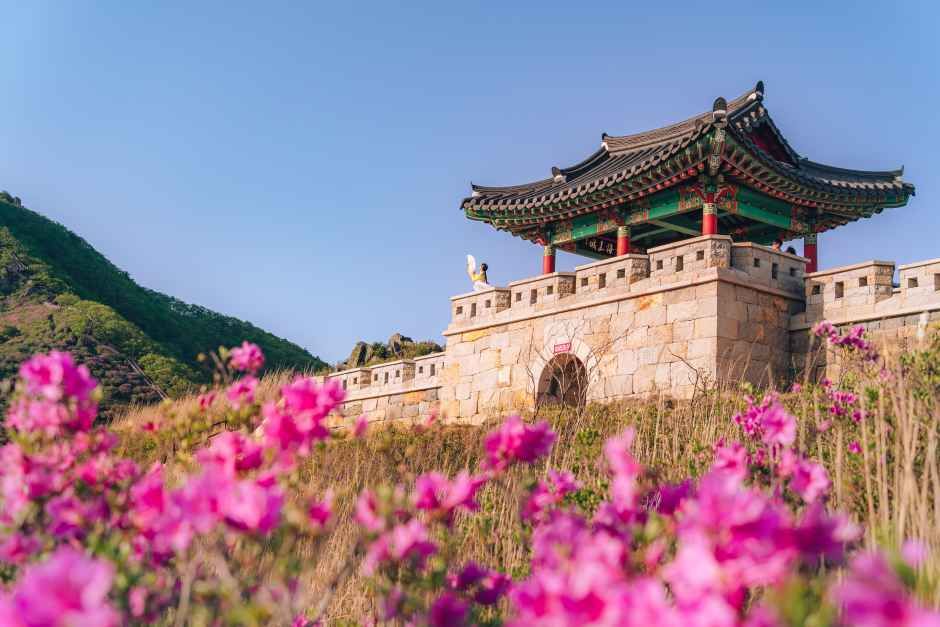 2026 산청황매산철쭉제 (4).JPG