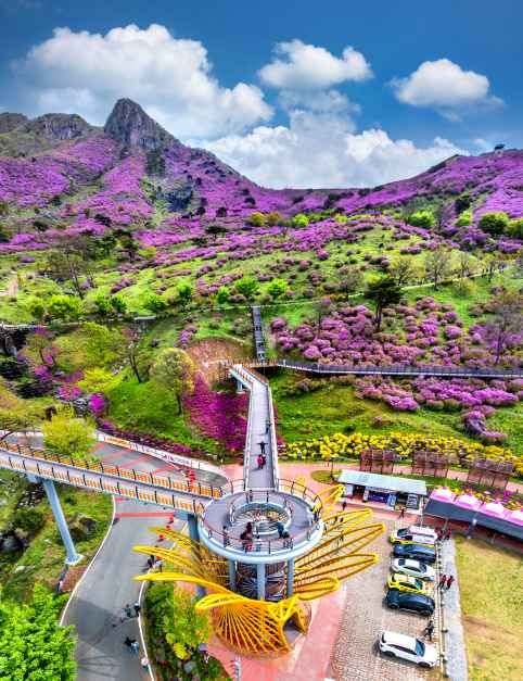 2026 산청황매산철쭉제 (5).jpg