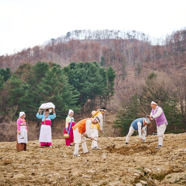 2025 화전민 봄봄축제 4