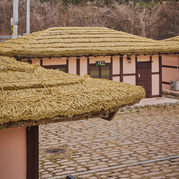 2025 화전민 봄봄축제 6