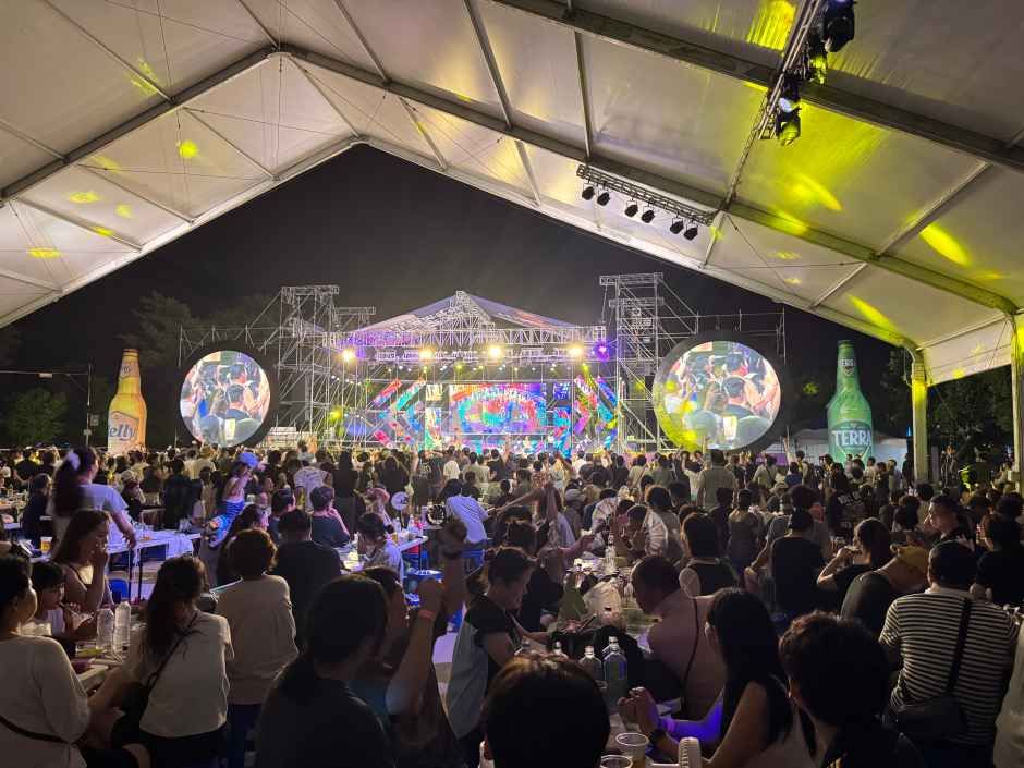 2026 홍천강 별빛음악 맥주축제 (3).JPG