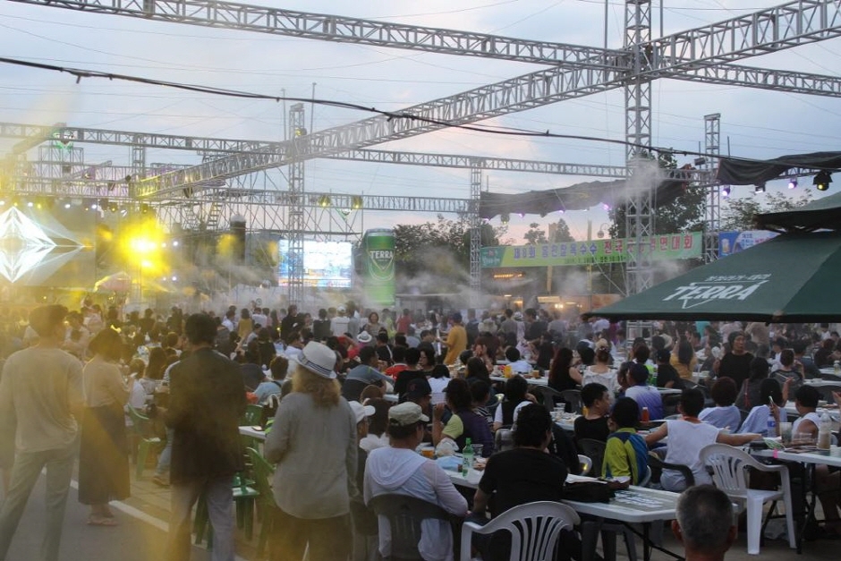 홍천강 별빛음악 맥주축제 (5)