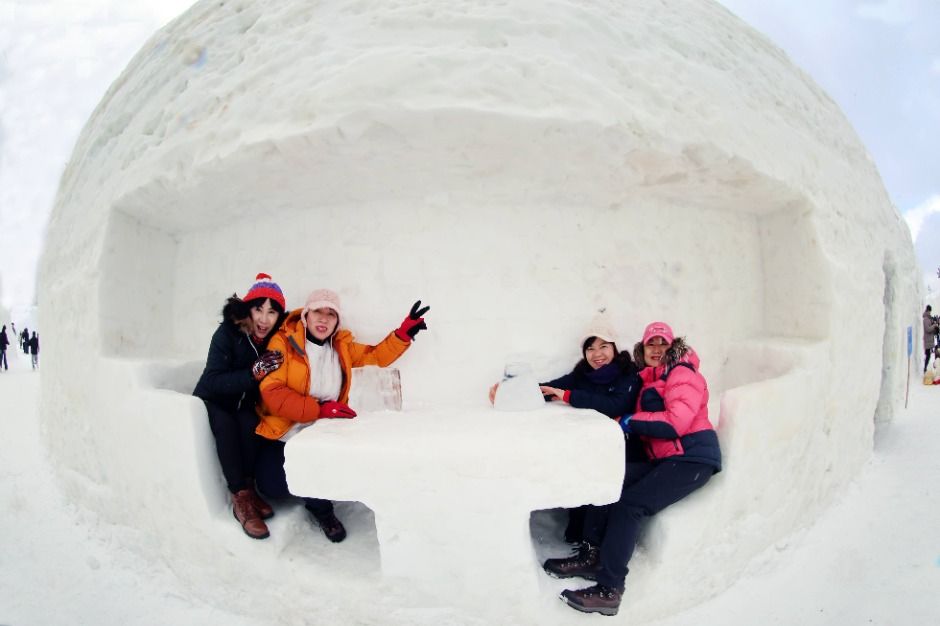 2026 대관령눈꽃축제 4