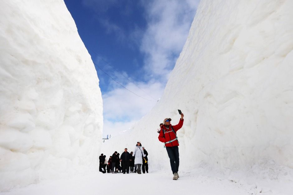 2026 대관령눈꽃축제 8