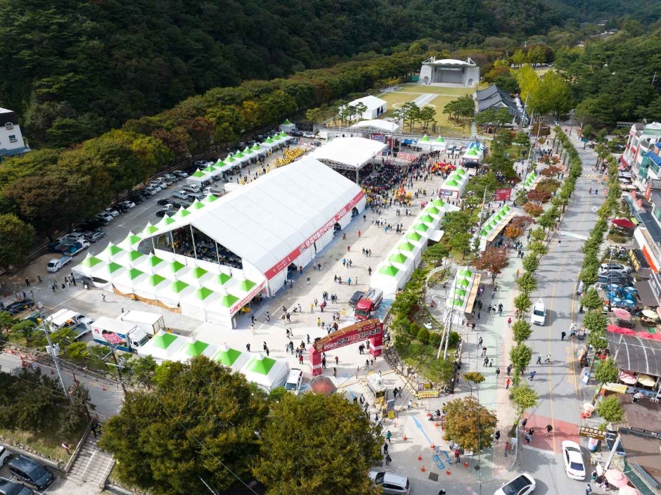 Festival du bœuf Hanwoo aux herbes médicinales et aux pierres de Mungyeong