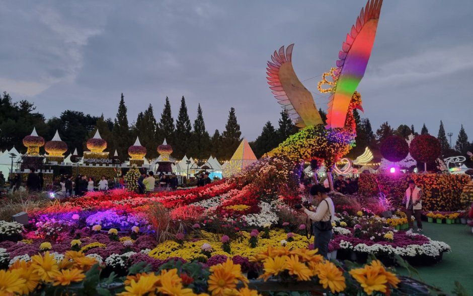 2026 익산천만송이 국화축제 (3).jpg