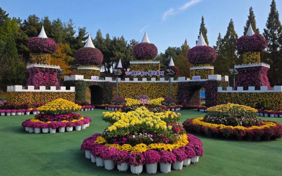 2026 익산천만송이 국화축제 (1).jpg