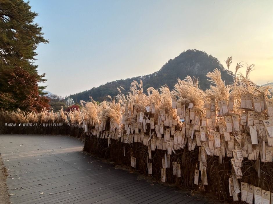 포천 산정호수 명성산 억새꽃축제 포스터 · 경기 축제