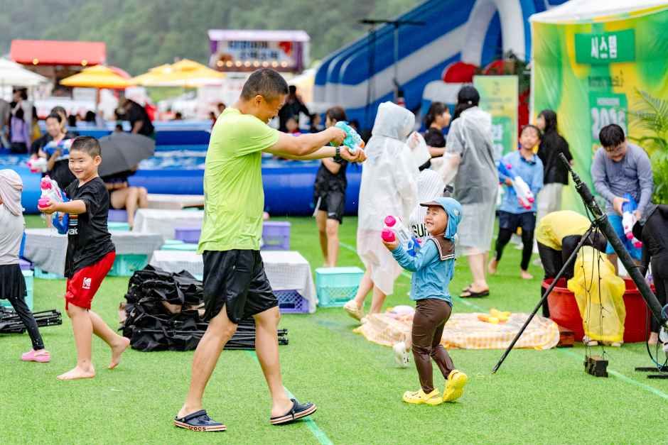 횡성썸머나잇페스타 포스터 · 강원 축제