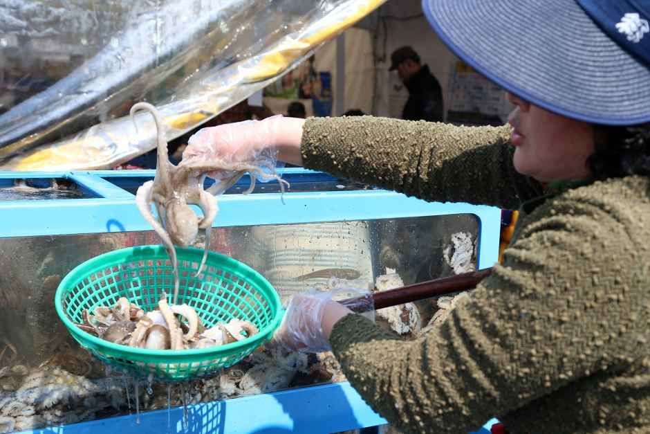 서천 동백꽃 주꾸미 축제 참고 이미지 2
