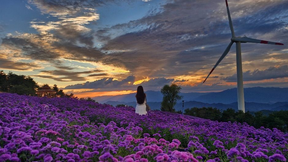 2025 감악산 꽃별 여행 1