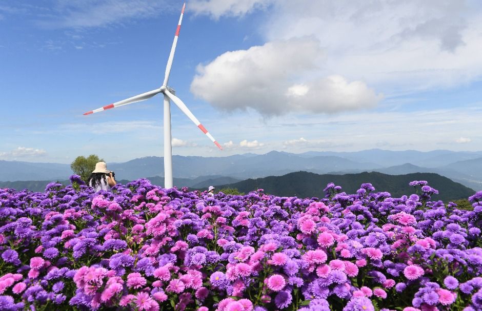 Gamaksan Flower Star Travel