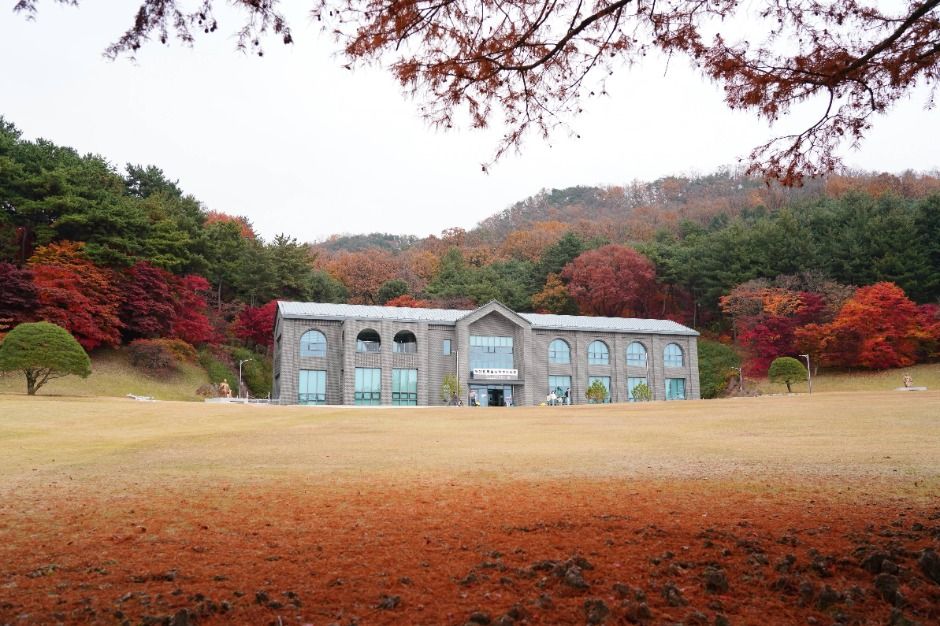 청남대 가을축제 포스터 · 충북 축제