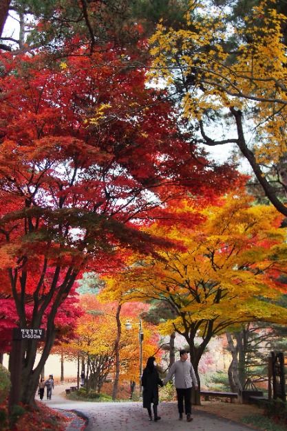  2025 청남대 가을축제 2