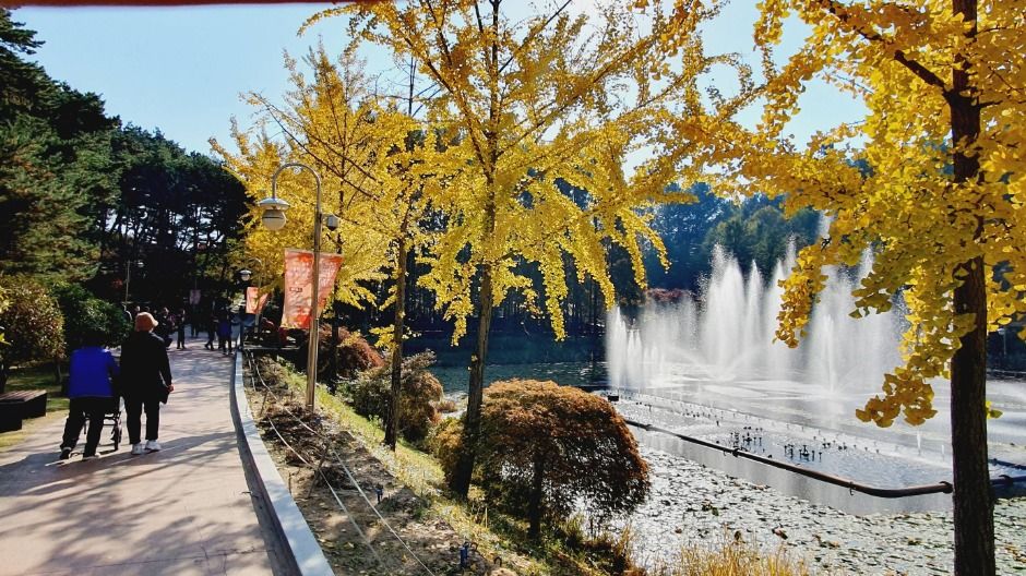  2025 청남대 가을축제 6