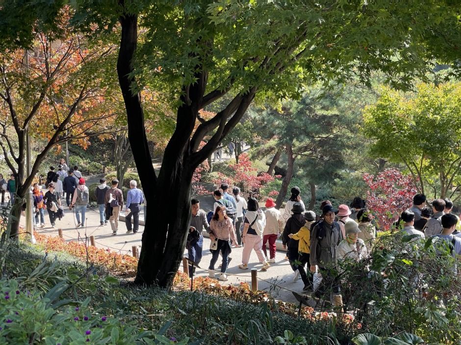  2025 청남대 가을축제 8