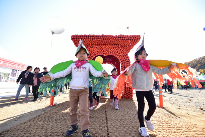 청송사과축제 2019(4)