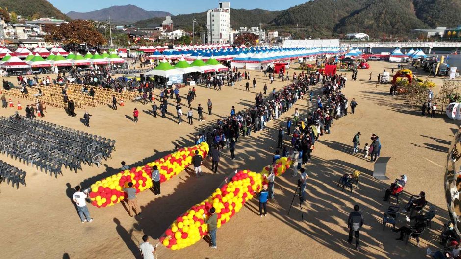 2024 청송사과축제 10