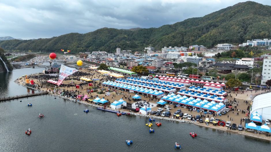 2025 청송사과축제 2