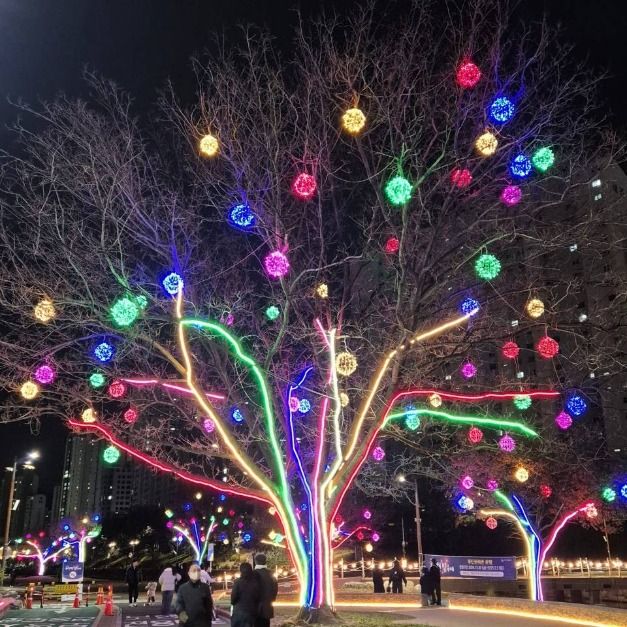 2025 온천천 빛 축제 6