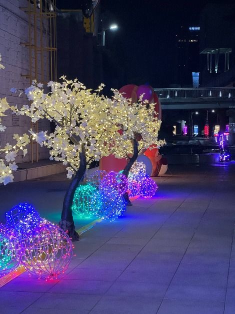 2025 온천천 빛 축제 7