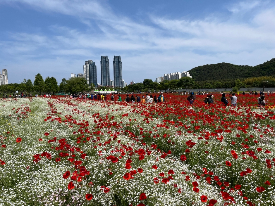 이미지 미리보기