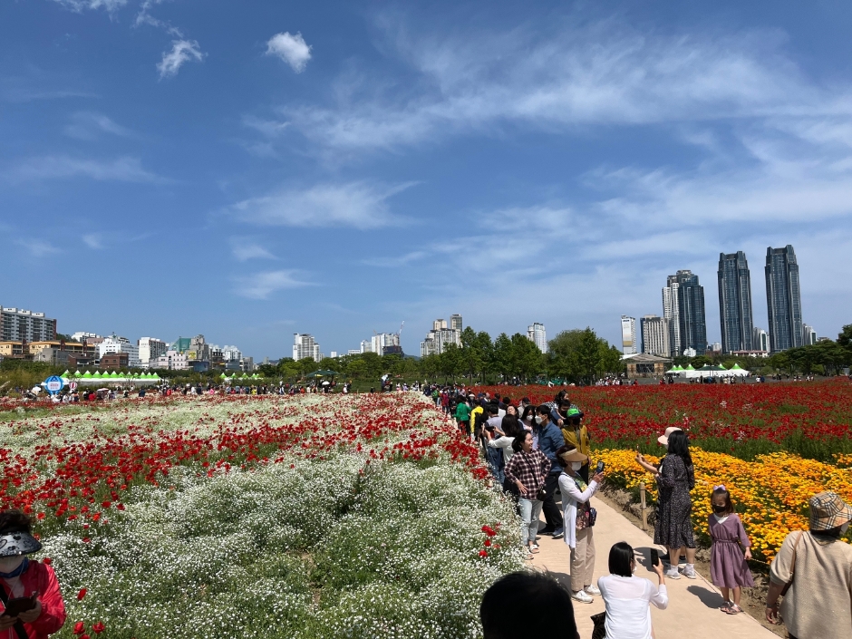 태화강국가정원 봄꽃축제_09