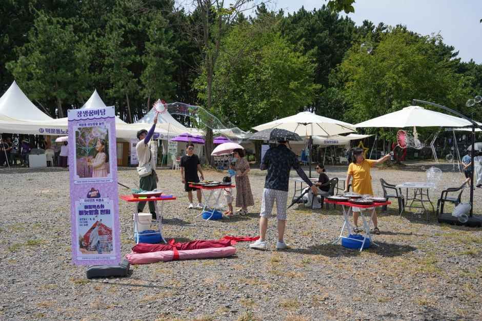 2026 장항 맥문동 꽃 축제 (4).jpg