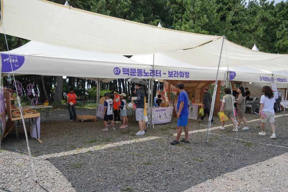 2026 장항 맥문동 꽃 축제 (3).jpg
