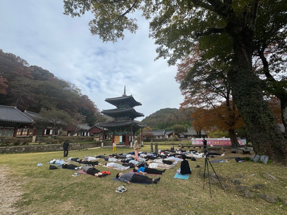 2026 화순운주문화축제 (6).jpg