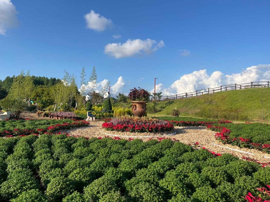 Dream Park Chrysanthemum Festival