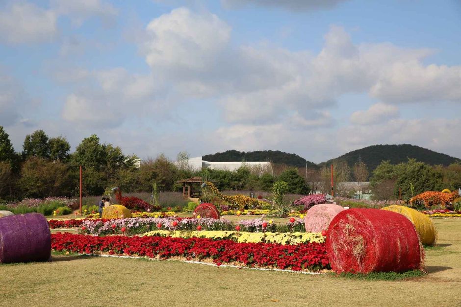 2024 드림파크 국화축제 8