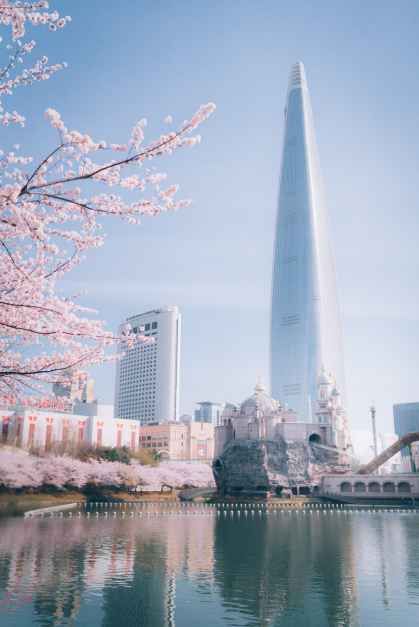 2026 송파구 호수벚꽃축제 (2).jpg