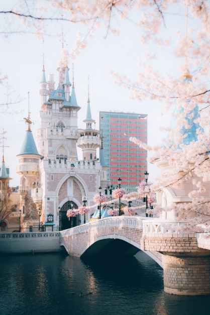 2026 송파구 호수벚꽃축제 (6).jpg