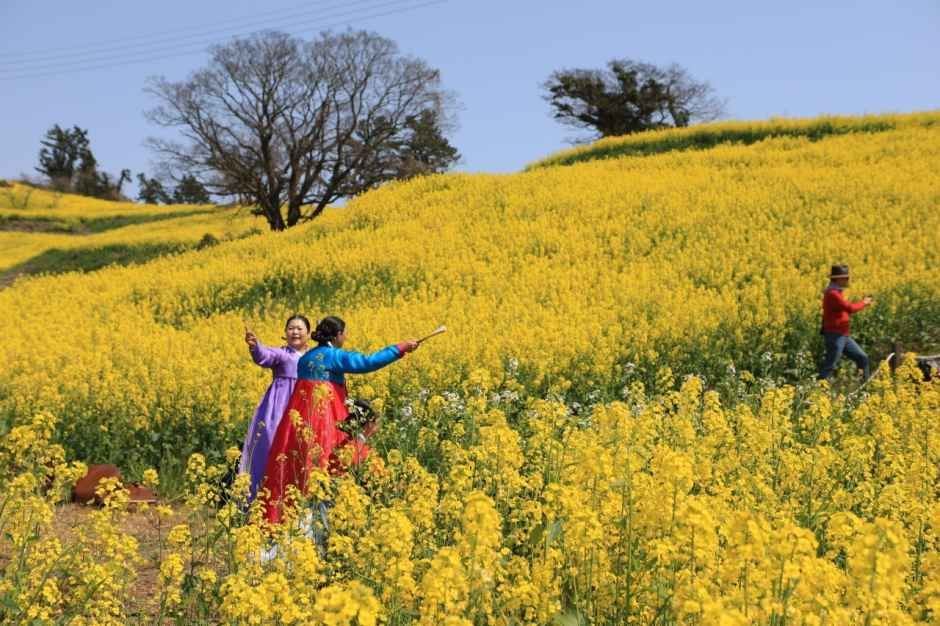 2026 진도신비의바닷길축제 (2).jpg