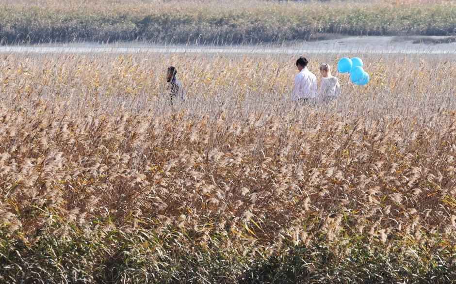 강진만 춤추는 갈대축제 포스터 · 광주 축제