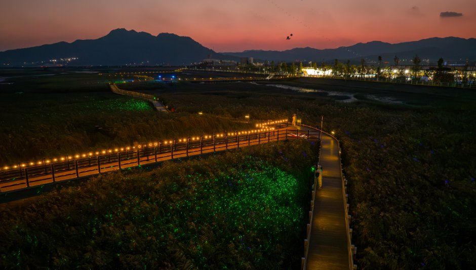 2026 강진만 춤추는 갈대축제 (2).jpg