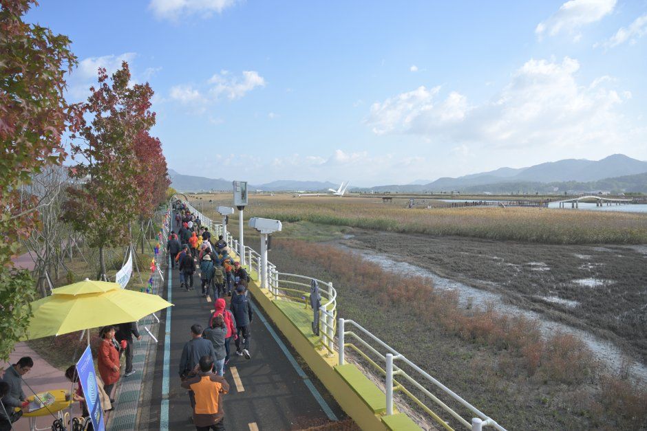 2026 강진만 춤추는 갈대축제 (10).JPG