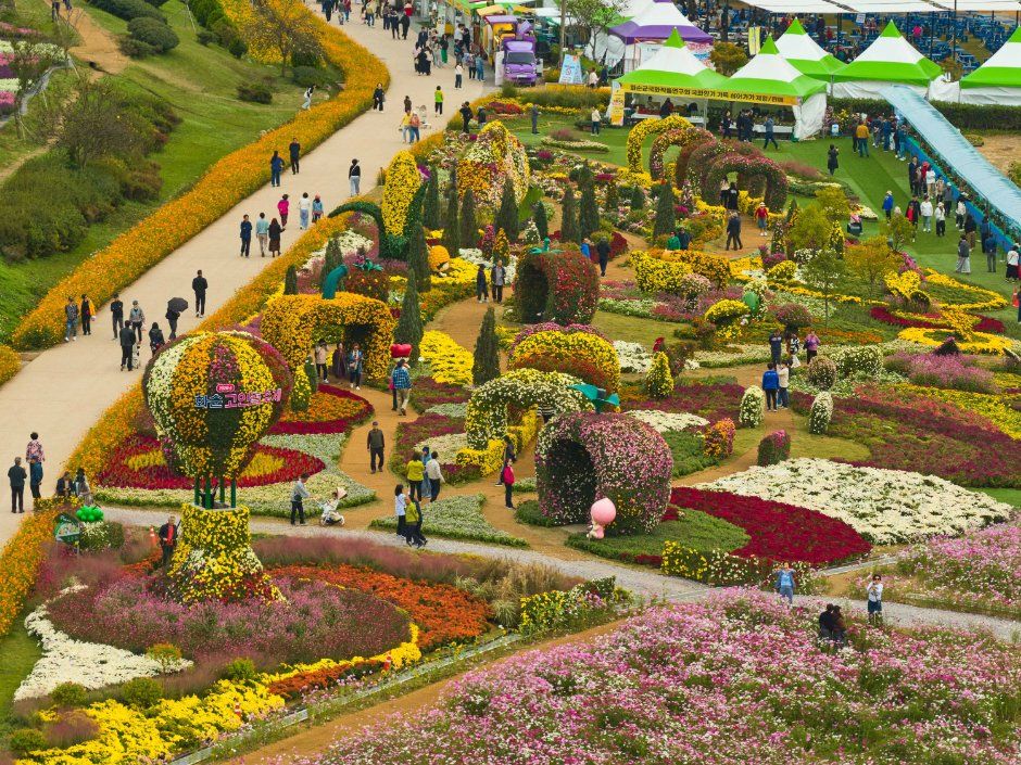 2026 세계문화유산 화순 고인돌 가을꽃 축제 (1).jpeg