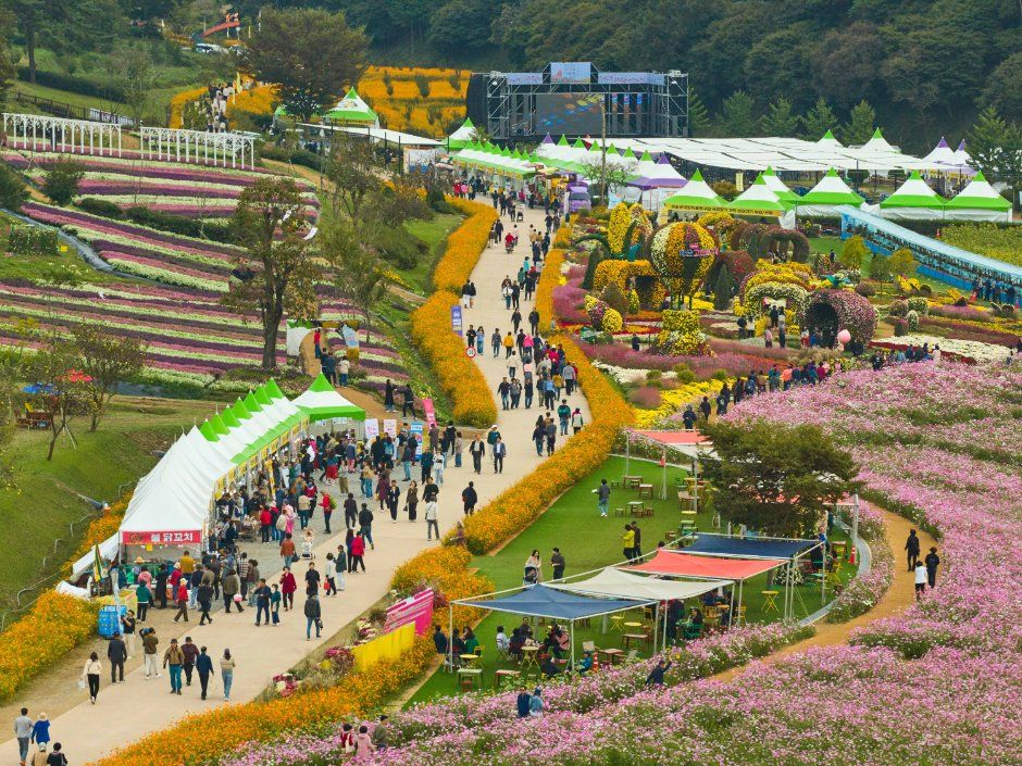 2026 세계문화유산 화순 고인돌 가을꽃 축제 (2).jpeg